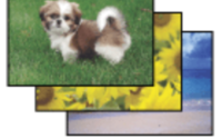 Epson Easy Photo Print