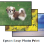 Epson Easy Photo Print